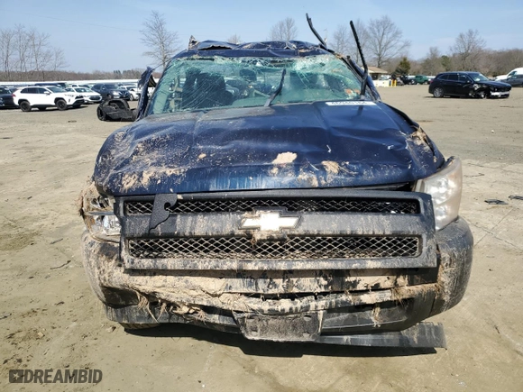 2007 Chevrolet Silverado 1500 Classic Work Truck with VIN 1GCEC14X17Z650388, listed as a Copart auction lot 46940164 with 0 mi miles and Salvage Title. Bid and sale history available at carsss.com. Image 5.