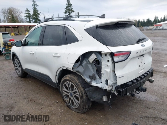 2021 Ford Escape SEL with VIN 1FMCU9H91MUB35409, listed as a IAAI auction lot 41900711 with 19,295 mi miles and . Bid and sale history available at DreamBid. Image 3.