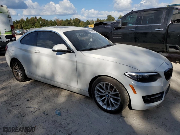 2016 BMW 2 Series 228i with VIN WBA1F9C55GV545653, listed as a Copart auction lot 76988204 with 118,602 mi miles and Salvage Title. Bid and sale history available at carsss.com. Image 4.