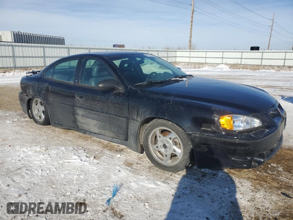 2002 Pontiac Grand Am GT1 with VIN 1G2NV52E22M728965, listed as a Copart auction lot 46291005 with 132,345 mi miles and Salvage Title. Bid and sale history available at carsss.com. Image 4.