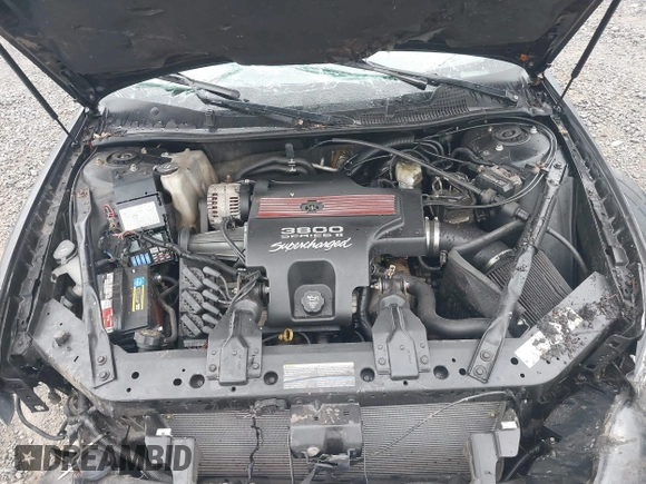2004 Chevrolet Monte Carlo SS Supercharged z VIN 2G1WZ121849369527, wystawiony jako IAAI lot #40759718 z przebiegiem 124 470 mil mil oraz . Historia ofert i sprzedaży dostępna na DreamBid. Obrazek 10.
