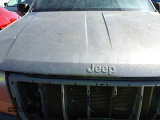 1999 Jeep Grand Cherokee Laredo with VIN 1J4GW58S0XC678864, listed as a IAAI auction lot 37593033 with Not provided miles and . Bid and sale history available at DreamBid. Image 10.