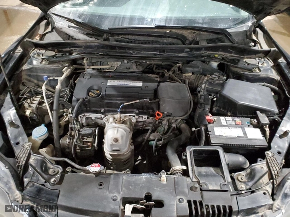 2014 Honda Accord Coupe EX with VIN 1HGCT1B78EA800813, listed as a Copart auction lot 45229155 with 234,954 mi miles and Salvage Title. Bid and sale history available at carsss.com. Image 11.