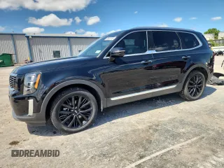 2020 Kia Telluride SX with VIN 5XYP5DHCXLG051283, listed as a Copart auction lot 59502415 with 104,983 mi miles and Salvage title. Bid and sale history available at DreamBid. Image 1.