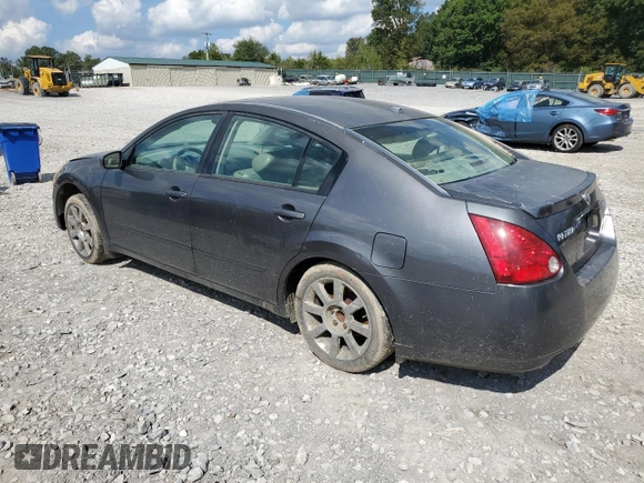 2006 Nissan Maxima 3.5 SE with VIN 1N4BA41EX6C842106, listed as a Copart auction lot 73371904 with 176,934 mi miles and Salvage Title. Bid and sale history available at carsss.com. Image 2.