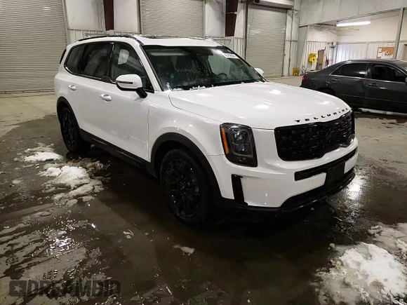 2022 Kia Telluride EX z VIN 5XYP3DHC3NG251298, wystawiony jako Copart lot #43789895 z przebiegiem 49 036 mil mil oraz Szkoda całkowita • Salvage title. Historia ofert i sprzedaży dostępna na DreamBid. Obrazek 12.