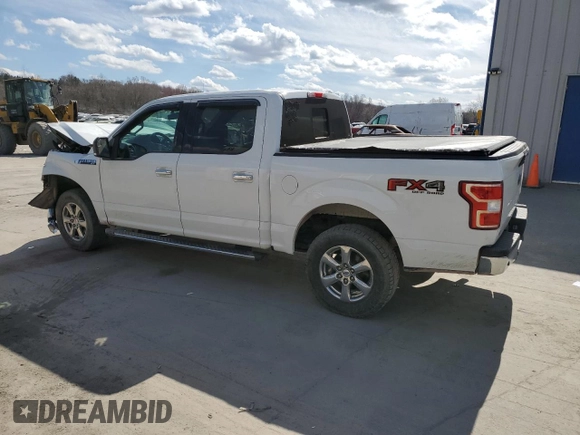 2019 Ford F-150 XL with VIN 1FTEW1E44KFA84586, listed as a Copart auction lot 50555625 with 204,126 mi miles and Salvage Title. Bid and sale history available at carsss.com. Image 2.