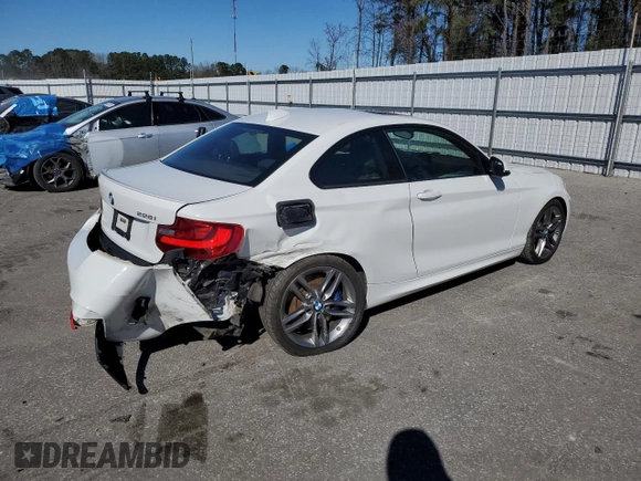 2015 BMW 2 Series 228i with VIN WBA1F5C56FV343489, listed as a Copart auction lot 43432594 with 109,196 mi miles. Bid and sale history available at carsss.com. Image 3.