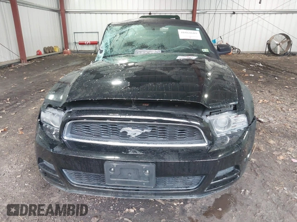 2014 Ford Mustang V6 with VIN 1ZVBP8AM5E5284026, listed as a IAAI auction lot 41861609 with 123,352 mi miles. Bid and sale history available at carsss.com. Image 12.
