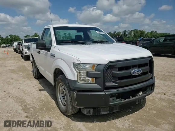 2016 Ford F-150 XL with VIN 1FTMF1C89GKF46916, listed as a Copart auction lot 58996645 with 110,102 mi miles and Salvage title. Bid and sale history available at DreamBid. Image 13.
