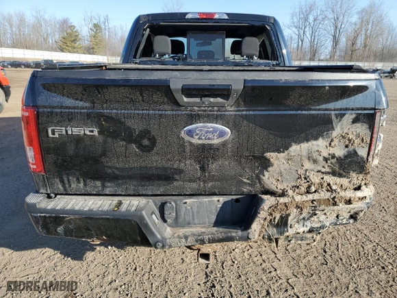 2016 Ford F-150 XLT with VIN 1FTEW1EP5GFC74088, listed as a Copart auction lot 50719655 with 185,481 mi miles and Salvage Title. Bid and sale history available at carsss.com. Image 6.