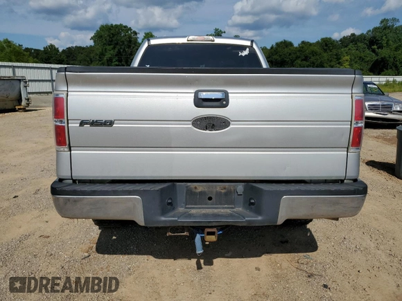 2009 Ford F-150 XLT with VIN 1FTRX12V89FA40192, listed as a Copart auction lot 62384525 with 276,253 mi miles and Clean title. Bid and sale history available at DreamBid. Image 6.