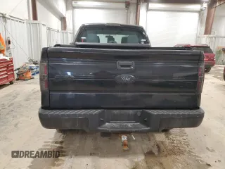 2013 Ford F-150 XL with VIN 1FTFX1EFXDFD26755, listed as a Copart auction lot 49045485 with 122,854 mi miles and Clean Title. Bid and sale history available at DreamBid. Image 6.