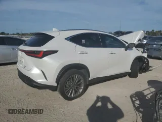 2022 Lexus NX with VIN JTJHKCEZ6N5004406, listed as a Copart auction lot 79924863 with 36,335 mi miles. Bid and sale history available at carsss.com. Image 3.