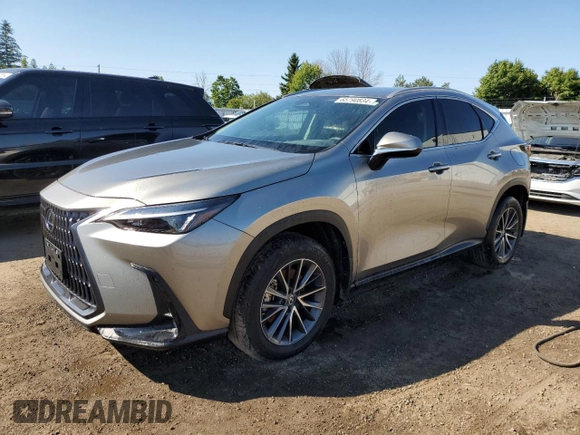 2024 Lexus NX with VIN 2T2ADCEZ4RC004990, listed as a Copart auction lot 65790834 with 7,141 mi miles and Non Repairable. Bid and sale history available at carsss.com. Image 1.
