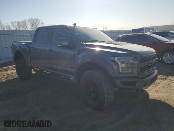 2020 Ford F-150 Raptor with VIN 1FTFW1RG3LFA16497, listed as a Copart auction lot 48388875 with Not Provided miles and Salvage Title. Bid and sale history available at carsss.com. Image 4.