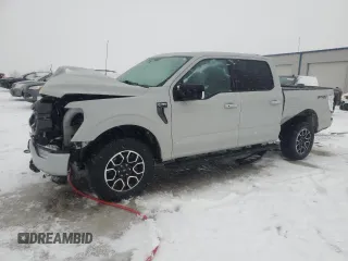 2023 Ford F-150 XL with VIN 1FTFW1E85PKD04873, listed as a Copart auction lot 44853635 with 33,438 mi miles and Non Repairable. Bid and sale history available at carsss.com. Image 1.