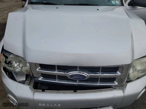 2009 Ford Escape XLT with VIN 1FMCU93G49KB28169, listed as a Copart auction lot 49296855 with 189,932 mi miles and Salvage Title. Bid and sale history available at carsss.com. Image 13.