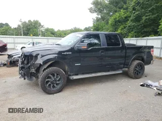 2013 Ford F-150 XL z VIN 1FTFW1ET2DKF13102, wystawiony jako Copart lot #58596235 z przebiegiem 110 298 mil mil oraz Szkoda całkowita • Salvage title. Historia ofert i sprzedaży dostępna na DreamBid. Obrazek 1.