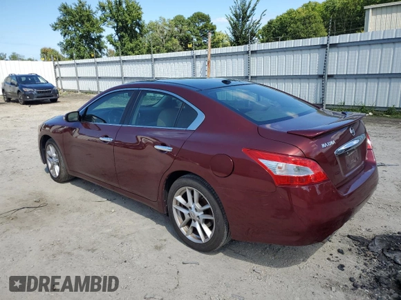 2009 Nissan Maxima SV with VIN 1N4AA51E69C820089, listed as a Copart auction lot 66046043 with 243,382 mi miles and Non Repairable. Bid and sale history available at DreamBid. Image 2.
