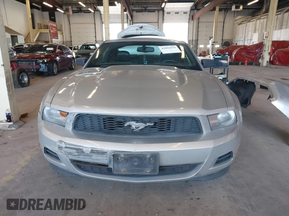 2011 Ford Mustang V6 with VIN 1ZVBP8AM9B5106521, listed as a IAAI auction lot 42041970 with 220,108 mi miles and . Bid and sale history available at DreamBid. Image 13.