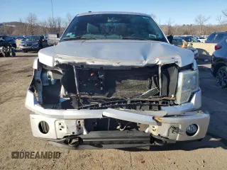 2013 Ford F-150 XL with VIN 1FTFX1EFXDFA08053, listed as a Copart auction lot 49723915 with 297,788 mi miles and Clean Title. Bid and sale history available at carsss.com. Image 5.