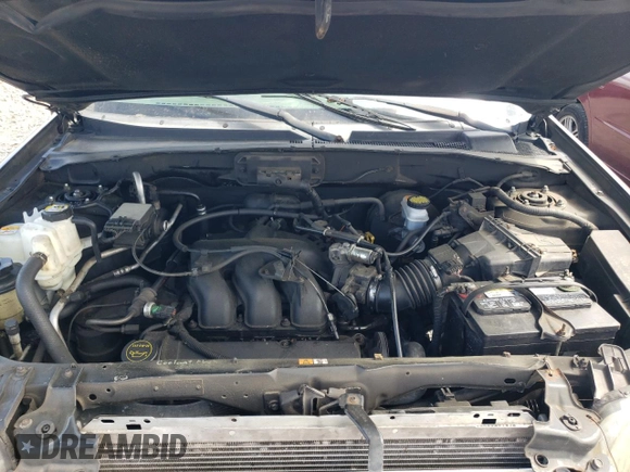 2003 Ford Escape XLT Popular 2 with VIN 1FMYU93133KB35168, listed as a Copart auction lot 57303335 with 197,368 mi miles and Salvage title. Bid and sale history available at DreamBid. Image 12.