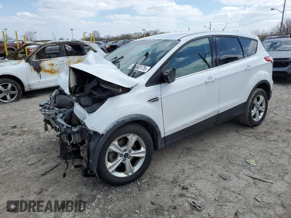 2015 Ford Escape SE with VIN 1FMCU0G75FUC75249, listed as a Copart auction lot 52960175 with 169,584 mi miles and Salvage Title. Bid and sale history available at carsss.com. Image 1.