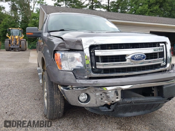 2013 Ford F-150 XL with VIN 1FTFX1EF3DFA21422, listed as a IAAI auction lot 42577828 with 185,203 mi miles and . Bid and sale history available at DreamBid. Image 6.