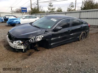 2019 Honda Civic Sedan LX with VIN 2HGFC2F63KH513428, listed as a Copart auction lot 49841885 with 115,521 mi miles and Salvage Title. Bid and sale history available at carsss.com. Image 1.