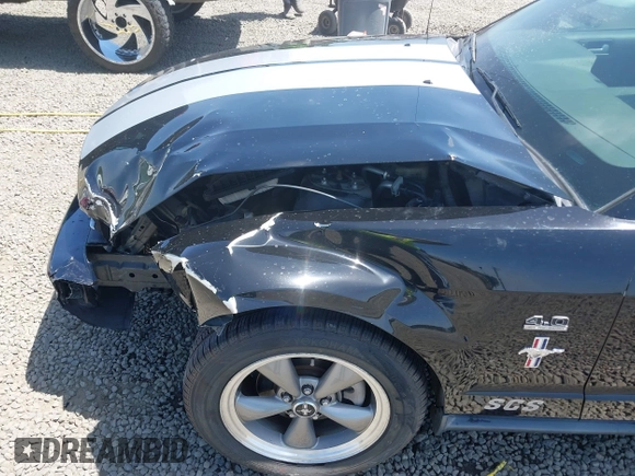 2006 Ford Mustang Standard with VIN 1ZVFT80N065182187, listed as a IAAI auction lot 42453637 with Not provided miles and . Bid and sale history available at DreamBid. Image 18.