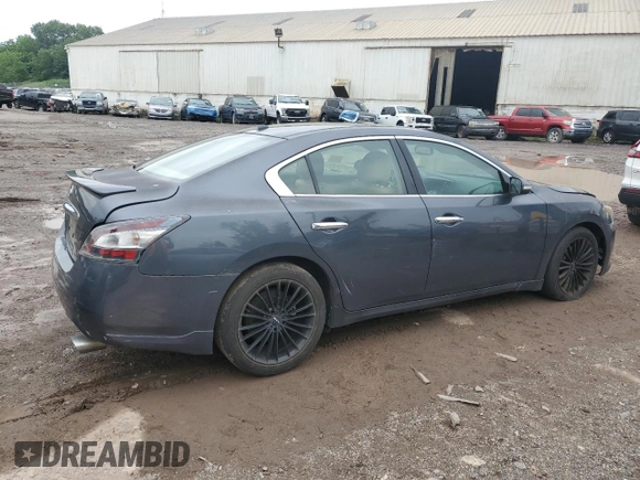 2010 Nissan Maxima SV with VIN 1N4AA5APXAC820912, listed as a Copart auction lot 60726965 with 119,093 mi miles and Salvage title. Bid and sale history available at DreamBid. Image 3.