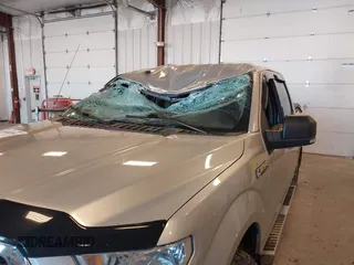 2017 Ford F-150 XL with VIN 1FTEW1EF9HFC07955, listed as a IAAI auction lot 41848255 with 196,125 mi miles. Bid and sale history available at carsss.com. Image 6.