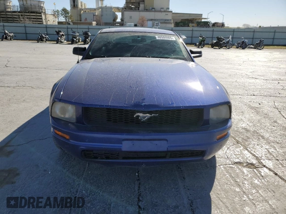 2005 Ford Mustang Deluxe with VIN 1ZVFT80N455129183, listed as a Copart auction lot 48500905 with 162,440 mi miles and Salvage Title. Bid and sale history available at carsss.com. Image 5.