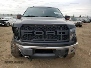 2011 Ford F-150 XLT with VIN 1FTFW1ET4BFC98666, listed as a Copart auction lot 59034455 with 175,742 mi miles and Salvage title. Bid and sale history available at DreamBid. Image 5.