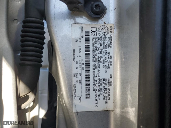 2013 Ford Focus SE with VIN 1FADP3K24DL287530, listed as a Copart auction lot 49607615 with 0 mi miles and Salvage Title. Bid and sale history available at carsss.com. Image 13.