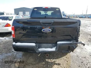 2018 Ford F-150 XL with VIN 1FTEX1EP5JKC12119, listed as a Copart auction lot 46260685 with 161,053 mi miles and Salvage Title. Bid and sale history available at carsss.com. Image 6.