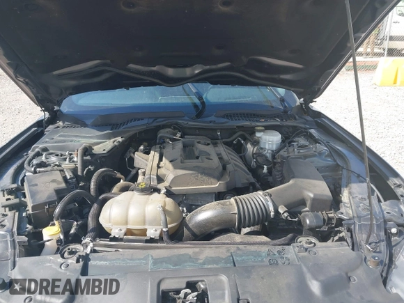 2019 Ford Mustang EcoBoost with VIN 1FA6P8TH7K5166355, listed as a IAAI auction lot 42007861 with 97,807 mi miles and . Bid and sale history available at DreamBid. Image 10.