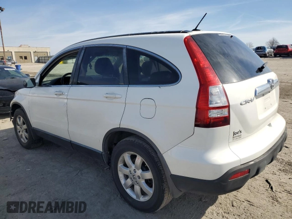 2008 Honda CR-V EX-L with VIN JHLRE38728C053663, listed as a Copart auction lot 49199545 with 143,208 mi miles and Salvage Title. Bid and sale history available at carsss.com. Image 2.