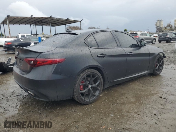 2019 Alfa Romeo Giulia z VIN ZARFAMAN4K7606393, wystawiony jako Copart lot #48740285 z przebiegiem 42 152 mil mil oraz Szkody całkowita. Historia ofert i sprzedaży dostępna na DreamBid. Obrazek 3.