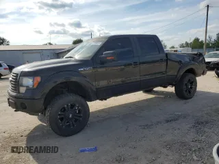 2012 Ford F-150 XL with VIN 1FTFW1EF8CFA46754, listed as a Copart auction lot 67100014 with 124,336 mi miles and Salvage Title. Bid and sale history available at carsss.com. Image 1.