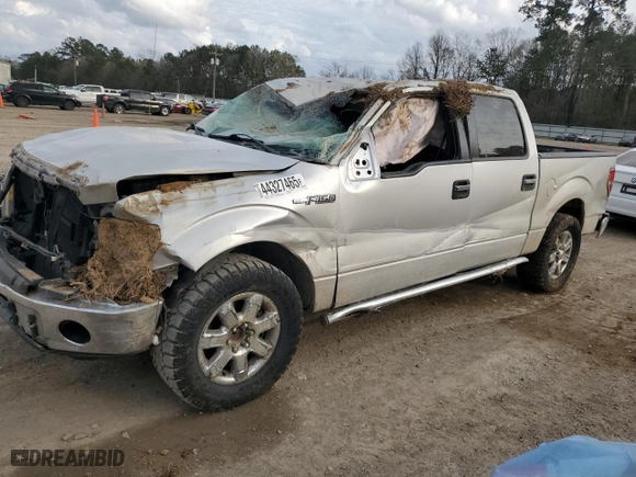2013 Ford F-150 XL with VIN 1FTFW1CF9DKE64655, listed as a Copart auction lot 44327465 with 176,952 mi miles and Salvage Title. Bid and sale history available at carsss.com. Image 1.