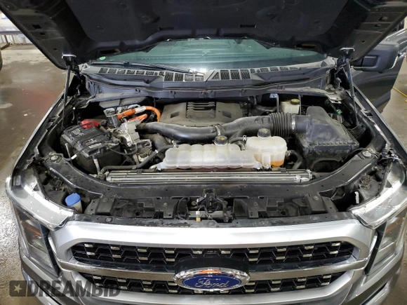 2021 Ford F-150 XL with VIN 1FTFW1ED2MFB67294, listed as a Copart auction lot 51073295 with 54,606 mi miles and Salvage Title. Bid and sale history available at carsss.com. Image 11.