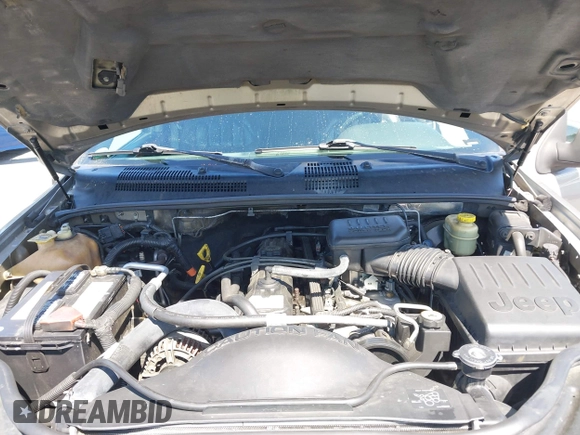 1999 Jeep Grand Cherokee Limited с VIN 1J4GW68S9XC666797, выставлен на аукционе IAAI как лот 42304461 с пробегом 228 464 миль миль и . История ставок и продаж доступна на DreamBid. Изображение 10.