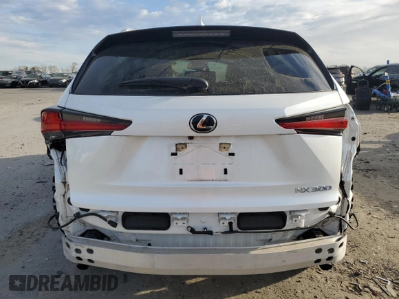 2020 Lexus NX 300 z VIN JTJAARBZ3L5012035, wystawiony jako Copart lot #48531955 z przebiegiem 14 015 mil mil oraz Szkody całkowita. Historia ofert i sprzedaży dostępna na DreamBid. Obrazek 6.