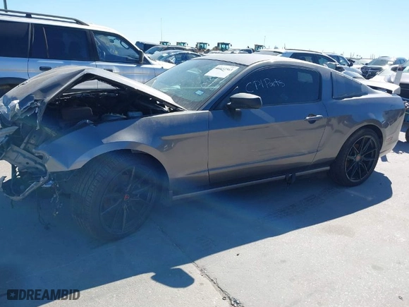 2014 Ford Mustang V6 with VIN 1ZVBP8AM8E5298230, listed as a IAAI auction lot 41832563 with 135,279 mi miles. Bid and sale history available at carsss.com. Image 2.