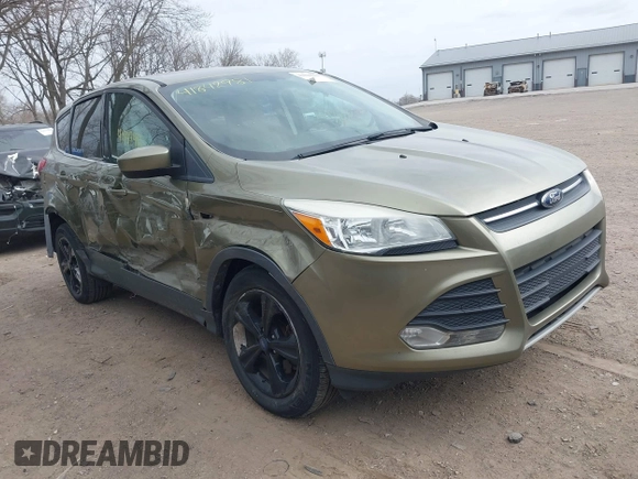 2013 Ford Escape SE with VIN 1FMCU0G90DUA41793, listed as a IAAI auction lot 41842981 with 179,312 mi miles. Bid and sale history available at carsss.com. Image 1.