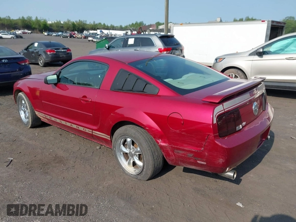 2005 Ford Mustang Deluxe with VIN 1ZVFT80N655177798, listed as a IAAI auction lot 42411831 with 112,236 mi miles and . Bid and sale history available at DreamBid. Image 3.