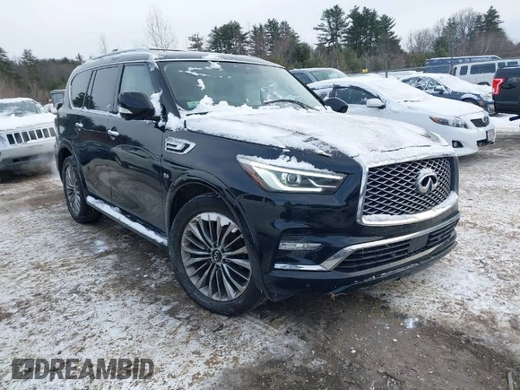 2018 Infiniti QX80 with VIN JN8AZ2NE6J9195243, listed as a IAAI auction lot 41348355 with 119,402 mi miles and . Bid and sale history available at DreamBid. Image 1.