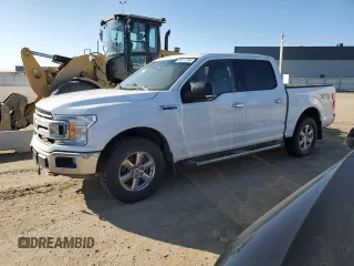 2019 Ford F-150 XL with VIN 1FTEW1E41KFB54237, listed as a Copart auction lot 53577295 with 183,660 mi miles and Clean Title. Bid and sale history available at carsss.com. Image 1.